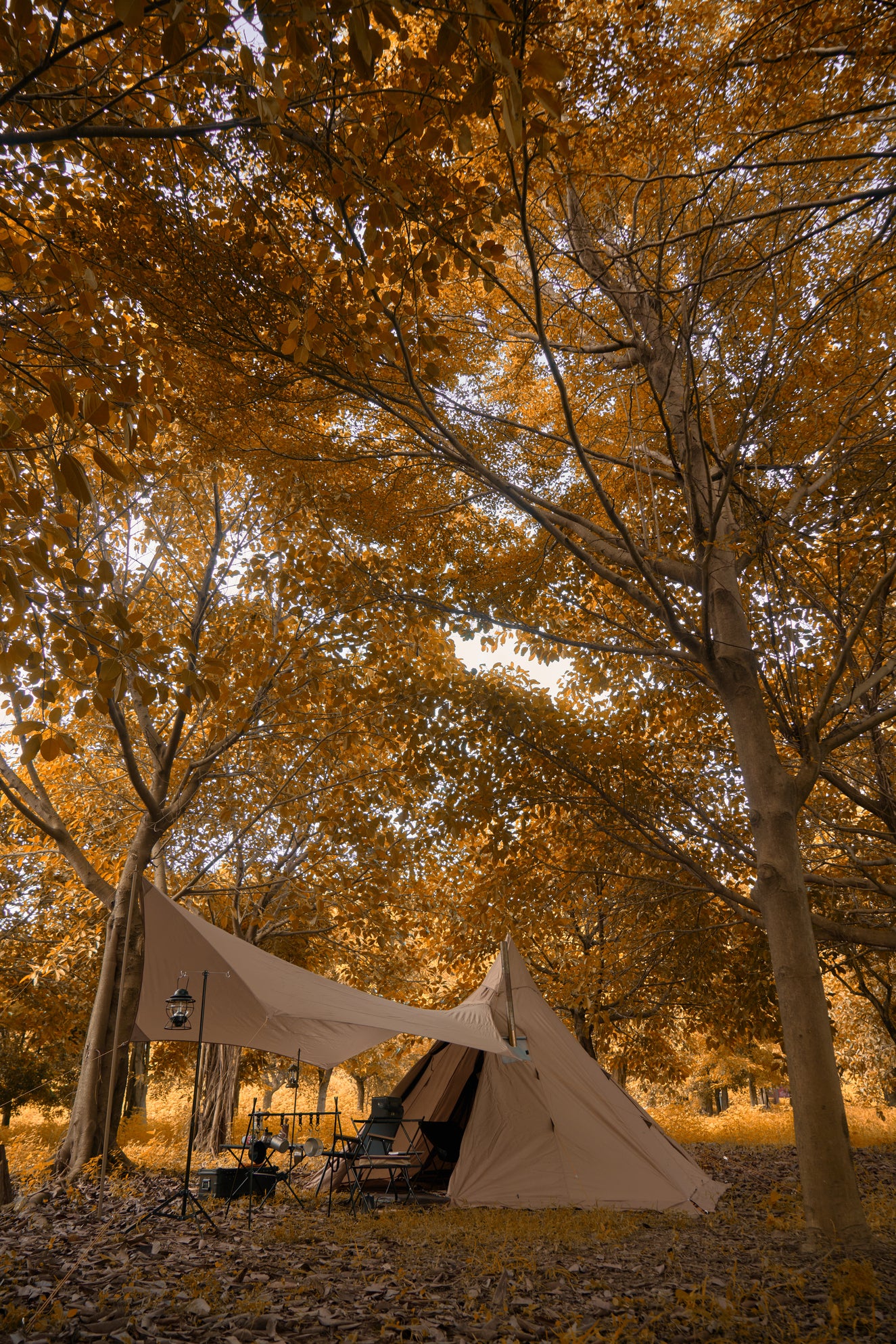 Drasoul——Camping and outdoor travel options